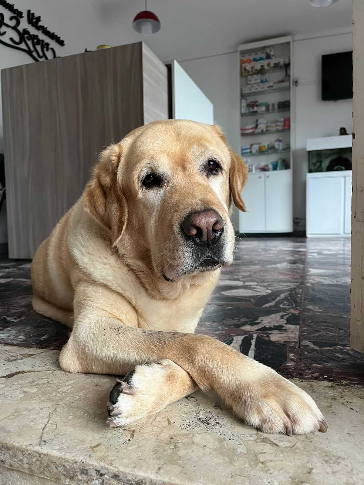 Exame de Imagem Landing Hero Top Image